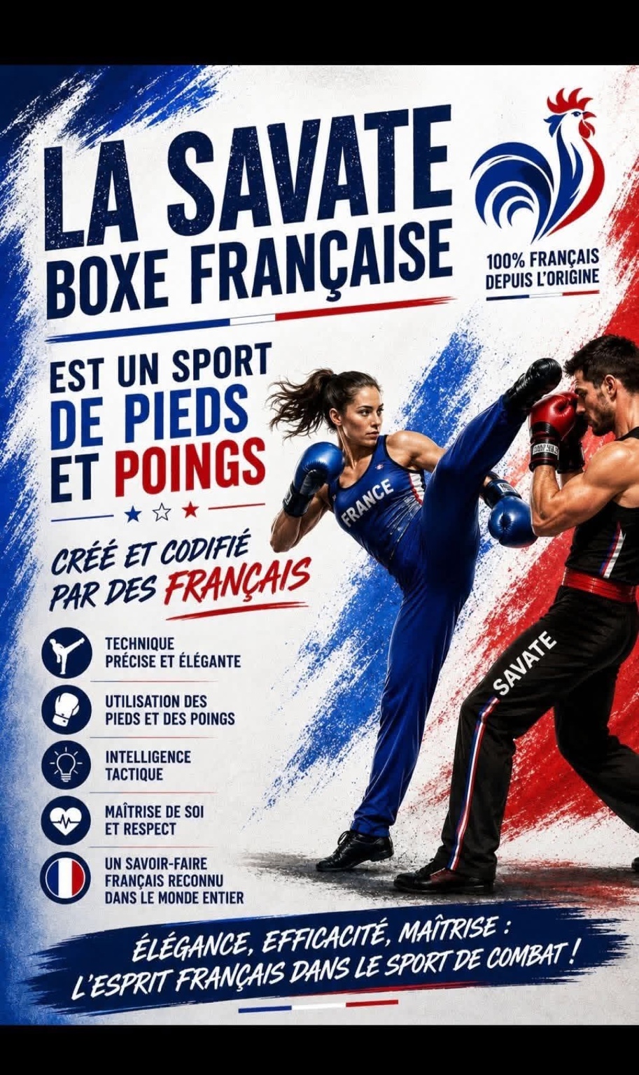 Affiche présentant la Savate Boxe Française
